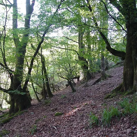 Casa Muniellos Gæstehus 3*