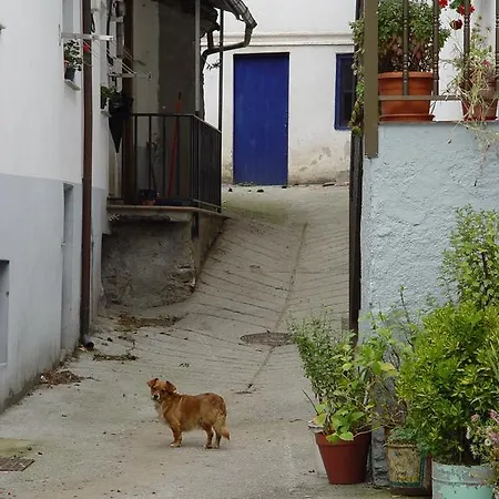 Gæstehus Casa Muniellos